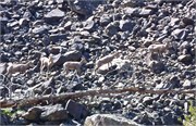 31464_Middle Fork